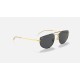 RB3668
Lenses: Grey Classic  +  Frame: Shiny Gold