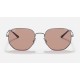 RB3682 EVOLVE
Lenses: Brown Photochromic Classic  +  Frame: Gunmetal