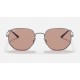 RB3682 EVOLVE
Lenses: Brown Photochromic Classic  +  Frame: Gunmetal