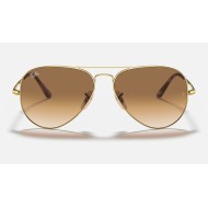 AVIATOR METAL II
Lenses: Light Brown Gradient  +  Frame: Gold