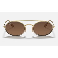 OVAL DOUBLE BRIDGE
Lenses: Brown Gradient  +  Frame: Gold