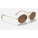 OVAL DOUBLE BRIDGE
Lenses: Brown Gradient  +  Frame: Gold