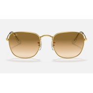 FRANK LEGEND GOLD
Lenses: Light Brown Gradient  +  Frame: Gold