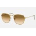FRANK LEGEND GOLD
Lenses: Light Brown Gradient  +  Frame: Gold
