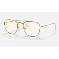 FRANK BLUE-LIGHT CLEAR EVOLVE
Lenses: Grey Clear Photocromic with Blue-Light Filter  +  Frame: Gold