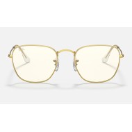 FRANK BLUE-LIGHT CLEAR EVOLVE
Lenses: Grey Clear Photocromic with Blue-Light Filter  +  Frame: Gold