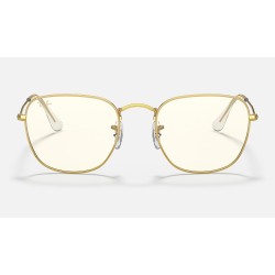 FRANK BLUE-LIGHT CLEAR EVOLVE
Lenses: Grey Clear Photocromic with Blue-Light Filter  +  Frame: Gold