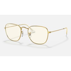 FRANK BLUE-LIGHT CLEAR EVOLVE
Lenses: Grey Clear Photocromic with Blue-Light Filter  +  Frame: Gold