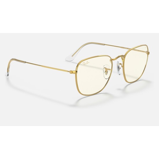 FRANK BLUE-LIGHT CLEAR EVOLVE
Lenses: Grey Clear Photocromic with Blue-Light Filter  +  Frame: Gold