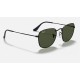 FRANK LEGEND GOLD
Lenses: Green Classic G-15  +  Frame: Black