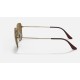 FRANK ANTIQUED
Lenses: Brown Classic B-15  +  Frame: Antique Gold