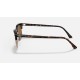 CLUBMASTER SQUARE
Lenses: Brown Classic B-15  +  Frame: Shiny Havana