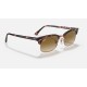 Clubmaster Square
Lenses: Light Brown Gradient  +  Frame: Pink Havana