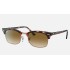 Clubmaster Square
Lenses: Light Brown Gradient  +  Frame: Pink Havana