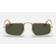 Julie
Lenses: Green Classic G-15  +  Frame: Legend Gold