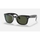 WAYFARER FOLDING CLASSIC
Lenses: Green Classic G-15  +  Frame: Black