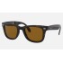 WAYFARER FOLDING CLASSIC
Lenses: Brown Classic B-15  +  Frame: Tortoise