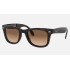 WAYFARER FOLDING CLASSIC
Lenses: Light Brown Gradient  +  Frame: Tortoise