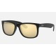 JUSTIN COLOR MIX
Lenses: Gold Mirror  +  Frame: Black