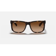 JUSTIN CLASSIC
Lenses: Brown Gradient  +  Frame: Tortoise