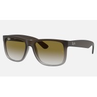 JUSTIN CLASSIC
Lenses: Green Gradient  +  Frame: Brown