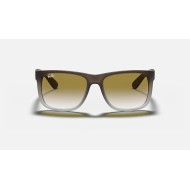 JUSTIN CLASSIC
Lenses: Green Gradient  +  Frame: Brown