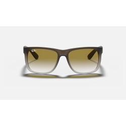 JUSTIN CLASSIC
Lenses: Green Gradient  +  Frame: Brown