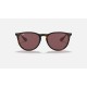 ERIKA COLOR MIX
Lenses: Dark Violet Classic  +  Frame: Tortoise