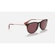 ERIKA COLOR MIX
Lenses: Dark Violet Classic  +  Frame: Tortoise