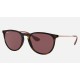 ERIKA COLOR MIX
Lenses: Dark Violet Classic  +  Frame: Tortoise