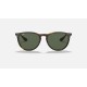 ERIKA CLASSIC
Lenses: Green Classic G-15  +  Frame: Tortoise