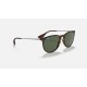 ERIKA CLASSIC
Lenses: Green Classic G-15  +  Frame: Tortoise