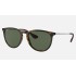ERIKA CLASSIC
Lenses: Green Classic G-15  +  Frame: Tortoise