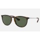 ERIKA CLASSIC
Lenses: Green Classic G-15  +  Frame: Tortoise