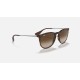 ERIKA CLASSIC
Lenses: Brown Gradient  +  Frame: Tortoise