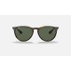 ERIKA CLASSIC
Lenses: Green Classic G-15  +  Frame: Tortoise