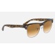 CLUBMASTER OVERSIZED
Lenses: Light Brown Gradient  +  Frame: Tortoise