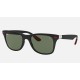 RB4195M SCUDERIA FERRARI COLLECTION
Lenses: Green Classic  +  Frame: Black