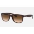 Andy
Lenses: Brown Gradient  +  Frame: Brown