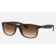 Andy
Lenses: Brown Gradient  +  Frame: Brown