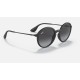 RB4222
Lenses: Grey Gradient  +  Frame: Black