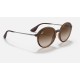 RB4222
Lenses: Brown Gradient  +  Frame: Tortoise