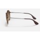 RB4222
Lenses: Brown Gradient  +  Frame: Tortoise