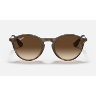 RB4243
Lenses: Brown Gradient  +  Frame: Tortoise