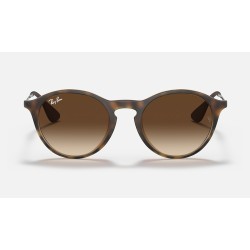 RB4243
Lenses: Brown Gradient  +  Frame: Tortoise