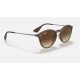 RB4243
Lenses: Brown Gradient  +  Frame: Tortoise