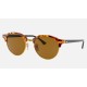 CLUBROUND CLASSIC
Lenses: Brown Classic B-15  +  Frame: Tortoise