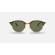 CLUBROUND CLASSIC
Lenses: Green Classic G-15  +  Frame: Red Havana