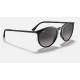RB4274
Lenses: Grey Gradient  +  Frame: Black