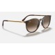 RB4274
Lenses: Brown Gradient  +  Frame: Tortoise